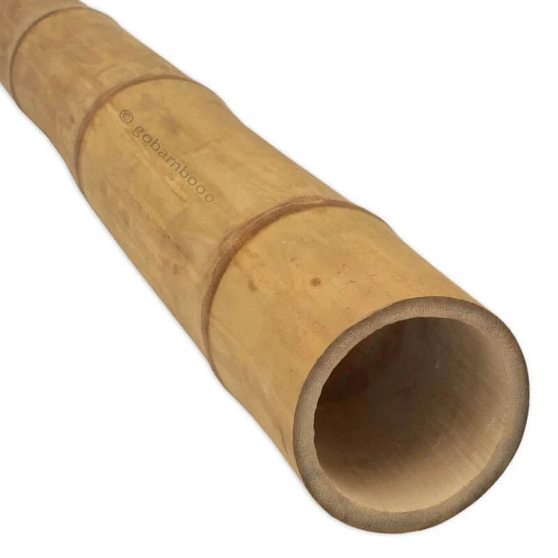 Guadua Bambusstange Ø 11-13 cm