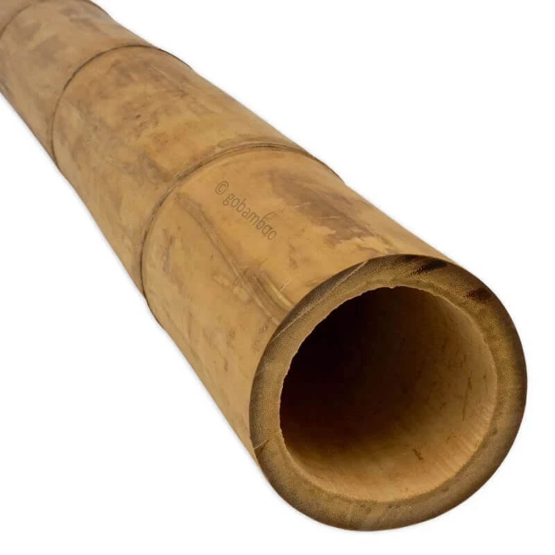 Guadua Bambusstange Ø 13-15 cm