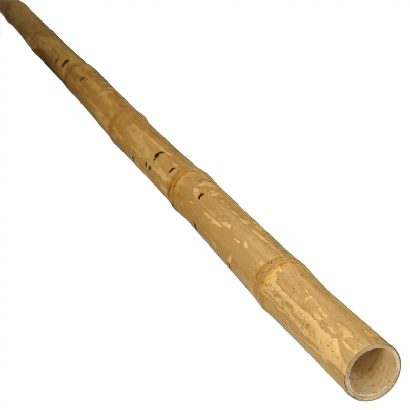 Guadua Bambusstange Ø 5-7 cm