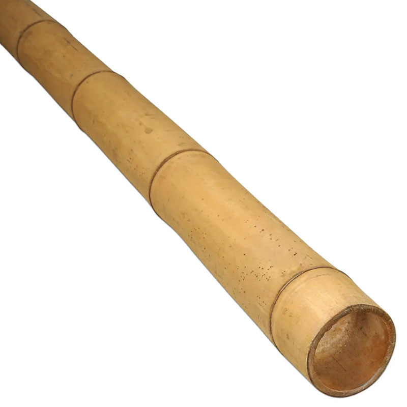 Guadua Bambusstange Ø 7-9 cm