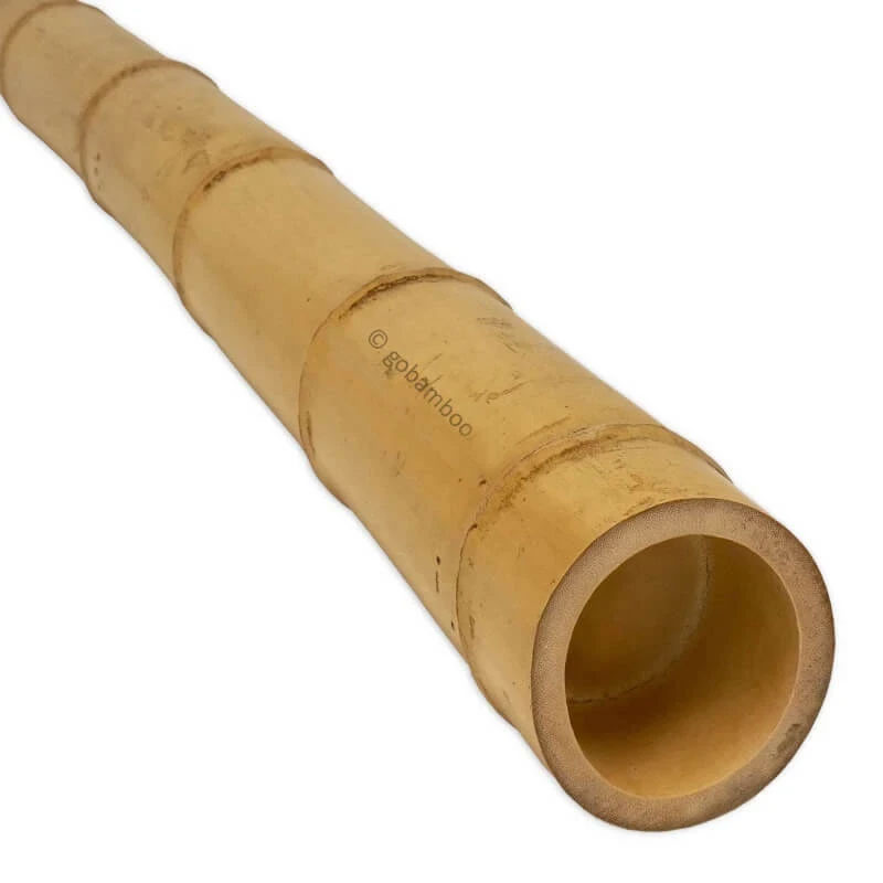 Moso Bambusstange Ø 7-8 cm