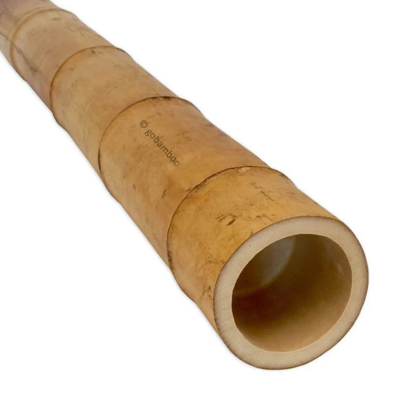 Moso Bambusstange Ø 8-9 cm